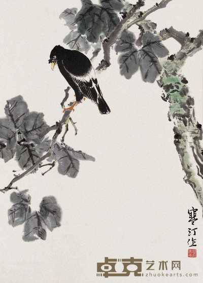 江寒汀 八哥 立轴 67×48cm